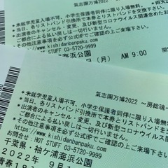 【ネット決済・配送可】氣志團万博2022青春18チケット
