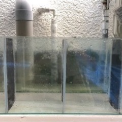ガラス仕切水槽　W900×d200×h300　　メダカ・ザリガニ...