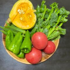 【初めての方は2,200円】VIVA VEGEの新鮮野菜デリバリー