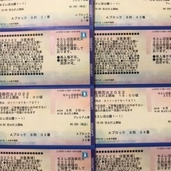 【ネット決済・配送可】モエレ沼芸術花火2022プレミアム席連番4枚