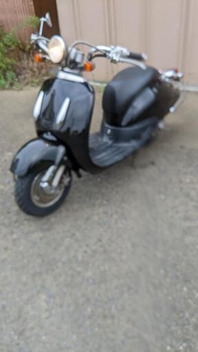 しくお ヤフオク ホンダ ジョーカー Af42 2スト 外装新品 整備品j イヤー Www Pediatrichealthcarenw Com しくお ヤフオク ホンダ ジョーカー Af42 2スト 外装新品 整備品j イヤー Www Pediatrichealthcarenw Com