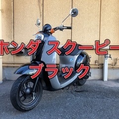 🛵【兵庫】HONDA、クレアスクーピー、50cc、バイク、原付、...
