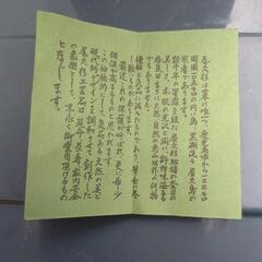 屋久杉　天然記念物　長寿玉　希少