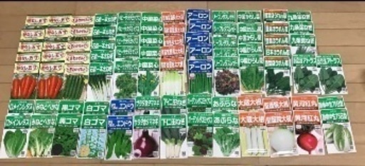 野菜の種　(86袋)