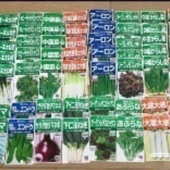 野菜の種 (86袋)