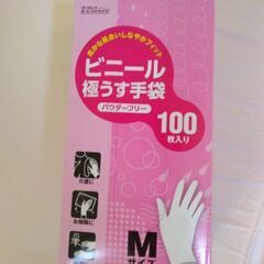 8/28引取期限　ビニール手袋パウダー付　100枚×10箱
