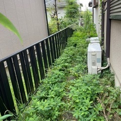 草刈りお願いします　 − 愛知県