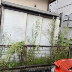 草刈りお願いします　 - 名古屋市