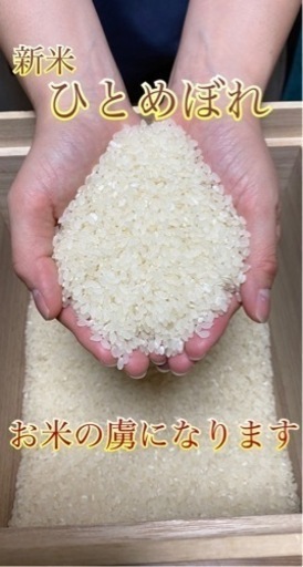 ひとめぼれ お米 玄米30キロの価格です。