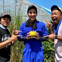 沖縄で自然栽培のマンゴーを勉強しませんか？（宿舎付き）マンゴー大学 - 教室・スクール