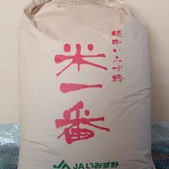 富山県　射水産　コシヒカリ玄米　30kg