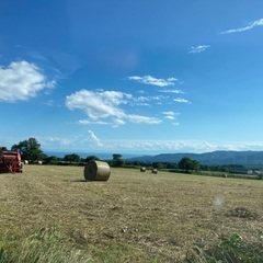 北海道で乳牛、肉牛を育て牧場経営を学ぼう