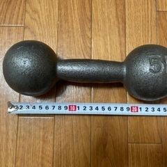 鉄アレイ(5kg) 1つ