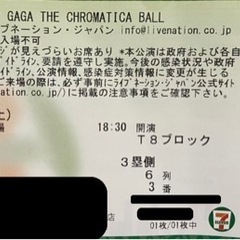 【ネット決済・配送可】早い者勝ちLady Gaga Chroma...