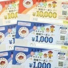 沖縄彩発見クーポン‼️2万円分チケット2枚(急募)※商品券付き