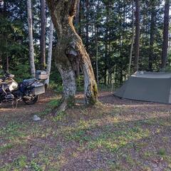 ソロベースEX 純正グランドシート付きバンドック 美品 ソロキャンプ