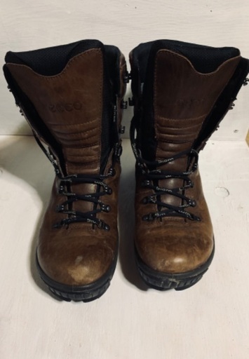 ecco ゴアテックス　ハイキングシューズ