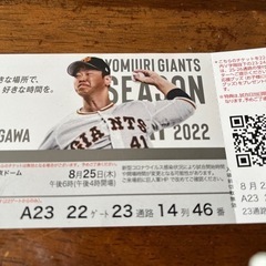 野球巨人中日戦チケット8月25日