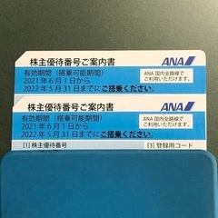 ANA株主優待券2枚セット(有効期限が延長2022年11月末迄)