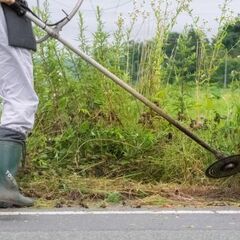 【残り１社】広島県で草木伐採が行える方を募集中！！ 