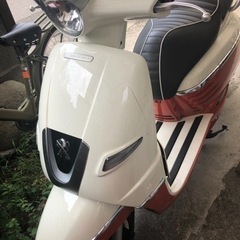 原付　プジョー　ジャンゴ　50cc 外車