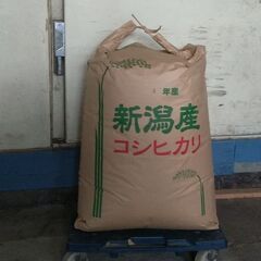 再販★令和３年新潟産コシヒカリ（保有米）★玄米30kg★限定10袋