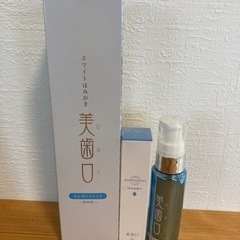ホワイトニングマシン シャリオン製 ホワイトニングネット