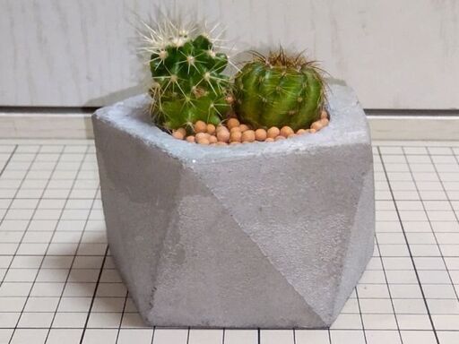 3円 自作セメント鉢 サボテン Dansree 中村橋のその他の中古あげます 譲ります ジモティーで不用品の処分