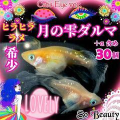 他サイトで売れた為終了【Cat's Eye】※お一人様限定※ 希...