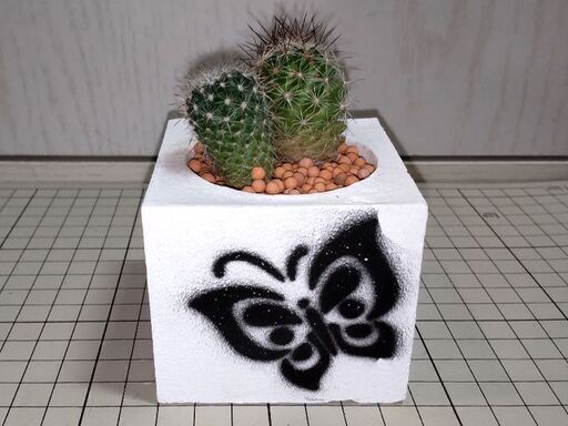 無料 自作セメント鉢 サボテン Dansree 中村橋のその他の中古あげます 譲ります ジモティーで不用品の処分