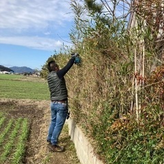 生垣の剪定〜雑木の解体や草刈り、草むしりなど庭木のお手入れ！ − 鹿児島県