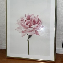 小さめ軽量ピンクの薔薇の絵、フレーム付き美品無料