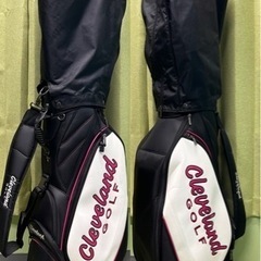 FL-01 V2☆レディース☆ゴルフクラブセット☆初心者女子ゴルフ