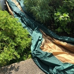 コールマン　ヘキサタープＬ