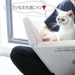 猫爪とぎ　book型version