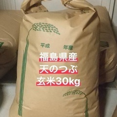 【受付停止】福島県産　天のつぶ　令和3年度　30kg 