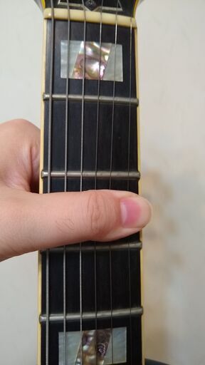 Ibanez AM-205 セミアコースティックギター アイバニーズ（マニュアル