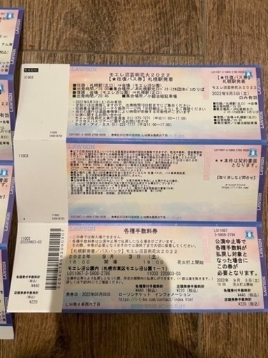 モエレ沼　花火 チケット2枚　2022 モエレ沼花火大会チケット2枚