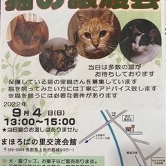 保護猫譲渡会♪ 上田市