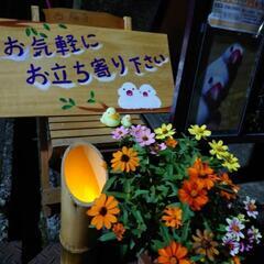 花香山西福寺　お月見会 - 地域/お祭り
