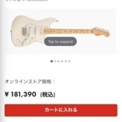 フェンダー  EOB  ほぼ新品サスティナー搭載