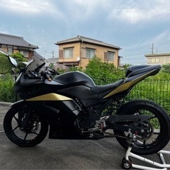 【ネット決済・配送可】最終値下げ カワサキ NINJA250R ...