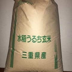 こしひかり30kg 農家直送　②