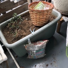 プランター、植木鉢、ぶら下げ植木鉢