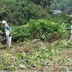 草刈り　高圧洗浄　お庭の手入れ　掃除などできます。