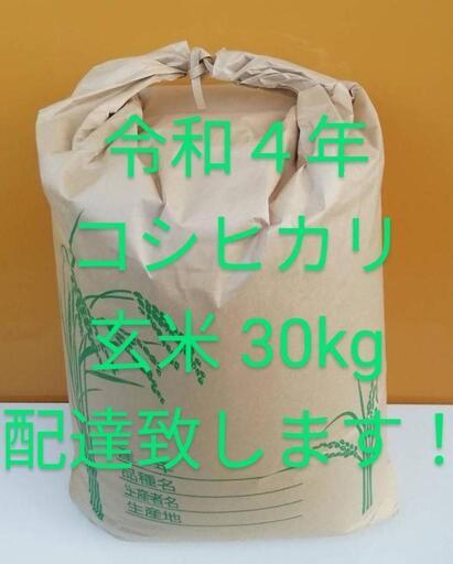 コシヒカリ こしひかり 令和４年 新米 玄米 30kg 配達致します プレゼント実施中 リピーター