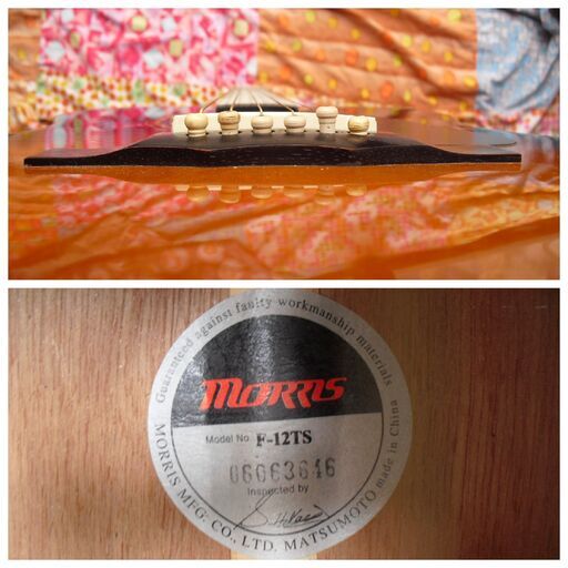 KING常田愛機モーリスF 絶版モデル 今度は単板モデルだよ！