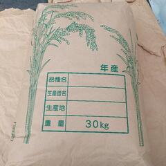 令和３年度収穫　コシヒカリ30kg(玄米)