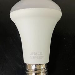 アイリスオーヤマ　人感センサー付き　LED電球