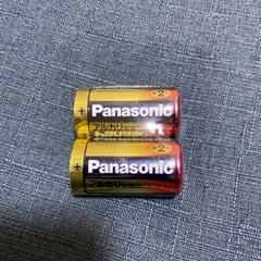  Panasonic単2電池2個　（決まりました）